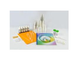 KIT CHEMISTRY COLORFUL CLUE LAB ACTIVITY