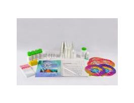 KIT CO2 TO THE RESCUE LAB ACTIVITY