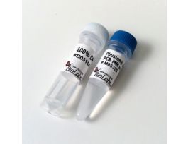 PHUSION HF PCR MSTMIX W/GC 500