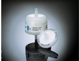 HEPA-CAP 75 5/PK G/G