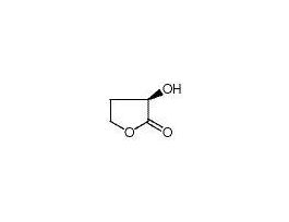 (+)-ALPHA-HYDROXY-GAMMA-BUTYRO