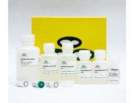 KIT QUICK-DNA/RNA FFPE 25MG TSU 50 PREPS