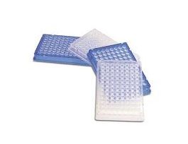 PCR PLATE 96WL MB SKRT CL PK10