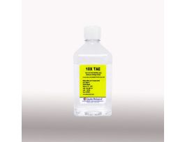10X TAE BUFFER 1000ML