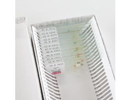 ANIMAL VEGETABLE & MINERAL SET/12