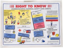 RTK Mini Poster, Each, English