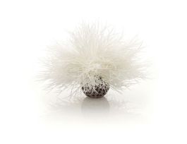 BIORB AQUATIC SEA LILY WHITE CS