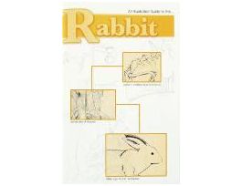 BOOK GUIDE RABBIT DISSEC