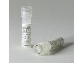 RECOMBINANT HUMAN LAMININ-521, 100UG,EA1