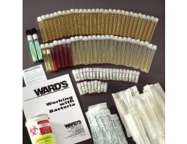 KIT COLLEGE BACTERIA (29 CULTURES)