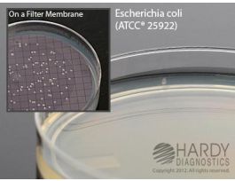 MEDIUM HETEROTROPHIC PLT COUNT AGAR PK10