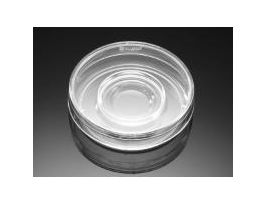 DISH W/O ABSORBENT RING CS500