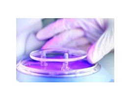 GLOVES NITRILE TACKY CLASS100 L CS 1000