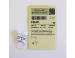 BETA-N-ACETYLGLUCOSAMINIDASE S P0744L