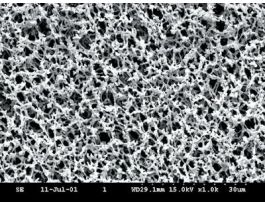 ME25/51 ST 0.45UM 47MM PK100