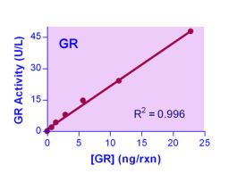 KIT GLUTATHIONE RDUCTSE ENZYCHROM 100TST
