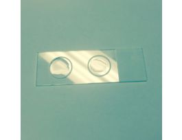 SLIDE CHARGED 2-FROSTED CIRCLES CS1440