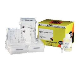 10 X 96 WELL GENOMIC DNA KT