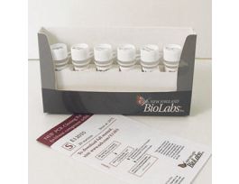 NEB PCR CLONING (WITHOUT COMP CELLS)