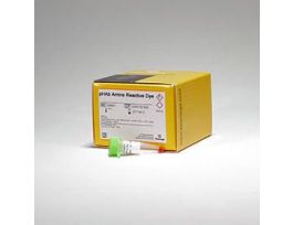 PHAB AMINE REACTIVE DYE 250UG