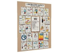 CHART LABORATORY SAFETY 89CM X 112 CM