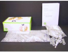 COLUMN S-300 HR ILLUSTRA MICROSPIN PK50