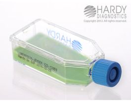 LJ MEDIA SLANT PLSTC FLASK