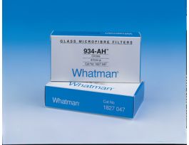 PAPER FILTER GLS 4.25CM PK100