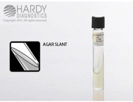 SLANT TECH AGAR 16 X 100MM TUBE 5.5 ML
