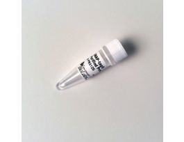 SNAP-TAG PURIFIED PROT - 50 UG.