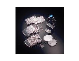 DISH COLLAGEN IV 100MM CS10.