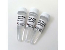 DEEP VENT DNA POLYMERASE