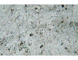 AIR POLLUTION (WM) SLIDE