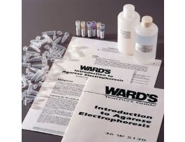 INTROD AGAROSE GEL ELECTROPH KT