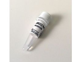 PBR322 VECTOR 50UG