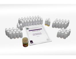 INTRODUCTION TO IONIC REACTIONS.