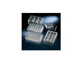 4-well culture dish, nontreated, 120/cs