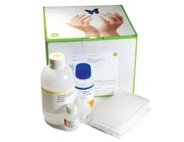 GFX 96 PCR PURIF KIT 10X96