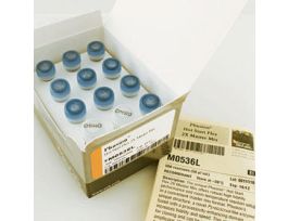 PHUSION HOT START FLEX 2X MAST