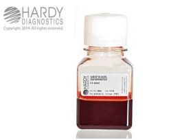 BLOOD SHEEP DEFIBRINATED 60ML