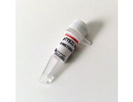 PTYB21 VECTOR- 10 UG.