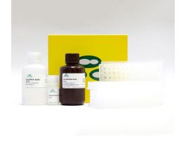 KIT ZR-96 VIRAL DNA/RNA PLASMA 4X96PREPS