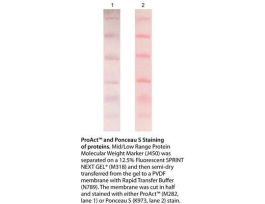 PONCEAU S STAIN PROTEOMICS GRADE 500ML