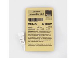 ANTARCTIC THERMOLABILE UDG