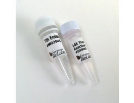 TTH ENDONUCLEASE IV 200U