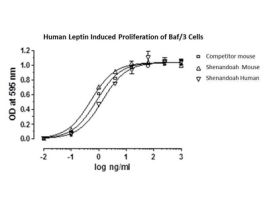 HUMAN LEPTIN5MG