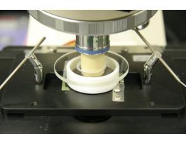 Delta T ACBR Delta T ACBR, The Atmospheric Control Barrier Ring (ACBR) A Pyrex* ring