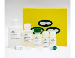 WHOLE BLOOD QUICK-RNA ISOL RNA 50 PREPS