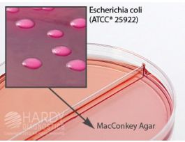 MACCONKEY AGAR W/SORBITOL15X100MM PK10