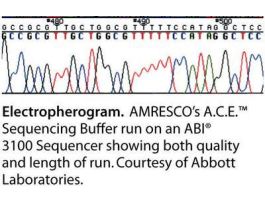 BUFFER SEQUENCING A.C.E 1X 500ML